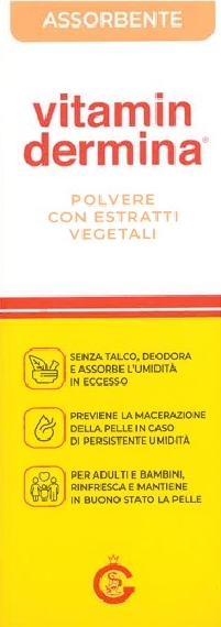VITAMINDERMINA POLVERE EST100G