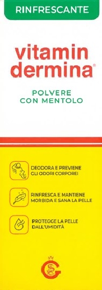 VITAMINDERMINA POLV MENT 100G