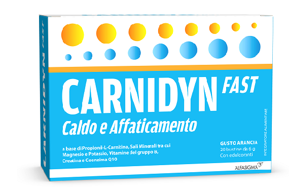 CARNIDYN FAST 20BUST