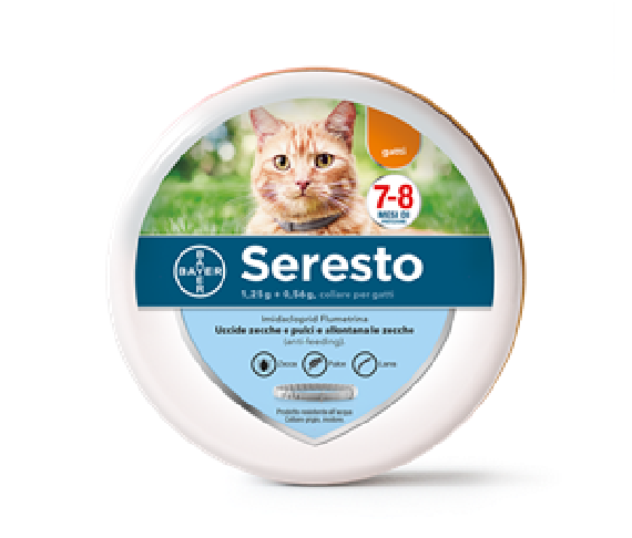 SERESTO*38CM GATTI